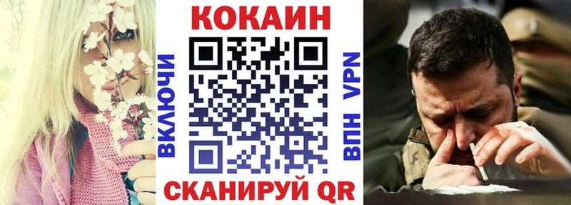 COCAIN Fish Scale купить наркотики сайты MEGA ССЫЛКА Советск