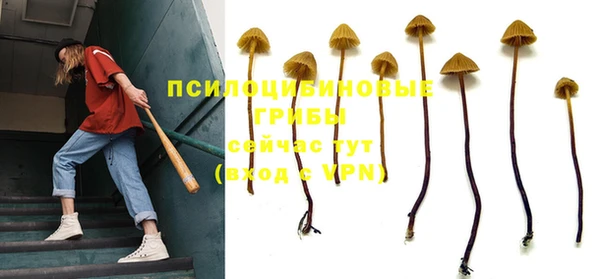 а пвп мука Аркадак